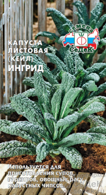 Капуста листовая Ингрид 0,3г