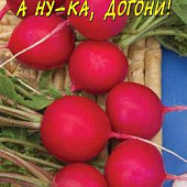 Редис А ну-ка, догони смесь 1г