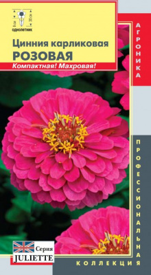 цЦинния Розовая Juliette (карликовая)