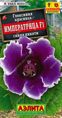 цГлоксиния Императрица синяя пикоти 5шт