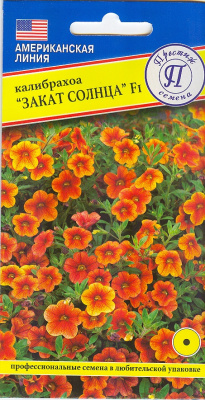 цКалибрахоа Закат Солнца 3др