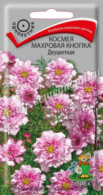 Космея Махровая кнопка Двуцветная 0,1г