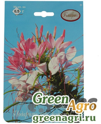 цКлеома Змей Горыныч (20пак*0,5г)