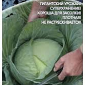 Капуста бк Александра 0,3г среднепоздняя