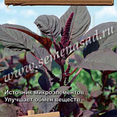 Амарант Рубиновый букет овощной 0,02г