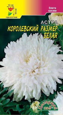 цАстра Королевский размер белая