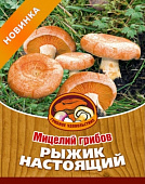 Грибы Рыжик настоящий