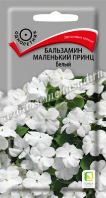 цБальзамин Маленький принц белый 0,02г