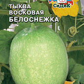 Тыква Восковая Белоснежка 0,2г