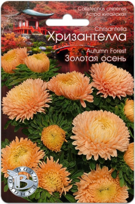 Астра Хризантелла Золотая осень 30шт