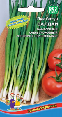 Лук батун Валдай 0,5г