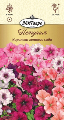цПетуния Королева летнего сада