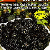 Ежевика Настена-сластена 0,05г