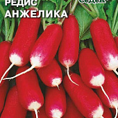 Редис Анжелика 2г