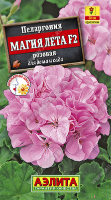 Пеларгония Магия Лета розовая 5шт