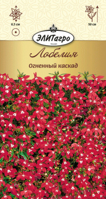 цЛобелия Огненный каскад