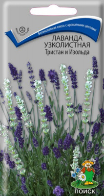 цЛаванда Тристан и Изольда 10шт