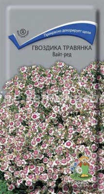 Гвоздика Вайт-Ред травянка 0,1г