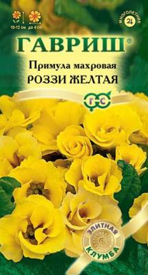 цПримула Рози желтая 3шт