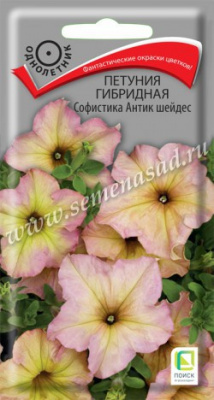цПетуния Софистика Антик шейдес 5 шт