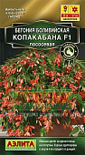 цБегония Копакабана лососевая 5шт