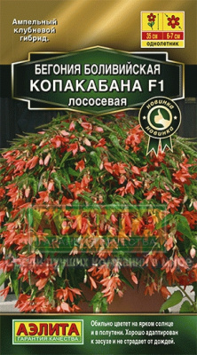 цБегония Копакабана лососевая 5шт