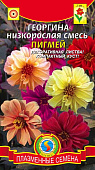 цГеоргина Пигмей смесь 12шт.