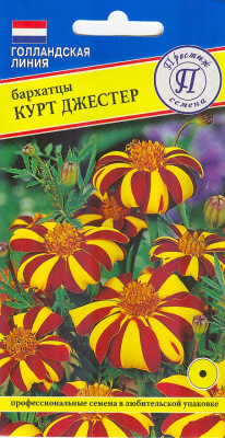 цБархатцы Курт Джестер 20шт