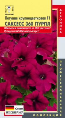 цПетуния Саксесс 360 Пурпл 10шт