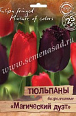 Тюльпан Магический дуэт смесь (25шт)