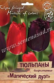 Тюльпан Магический дуэт смесь (25 шт)