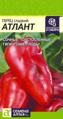 Перец Атлант 15шт