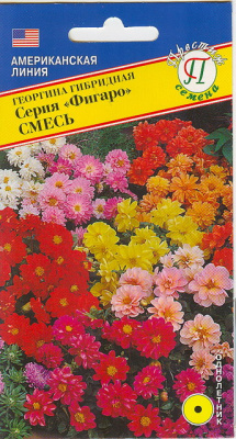цГеоргина Фигаро смесь 7шт