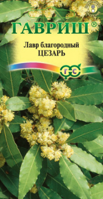 Лавр Цезарь благородный 3шт