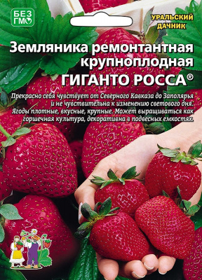 Земляника Гиганто Росса крупн. Б/Ф 10шт