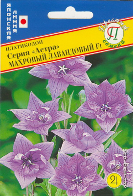 цПлатикодон Астра Махровый Лавандовый 5шт