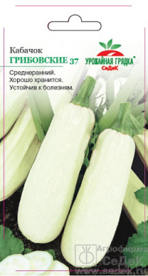 Кабачок Грибовские Урожайная грядка