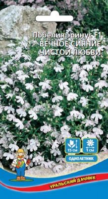 цЛобелия Вечное сияние чистой любви