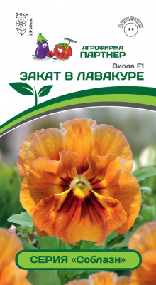 цВиола Закат в Лавакуре Соблазн 10шт