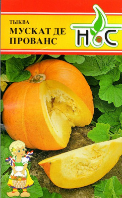 Тыква Мускат Де Прованс 3шт (Tezier/Франция)