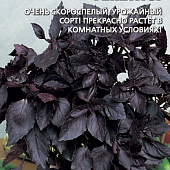 Базилик Аметист 0,25г