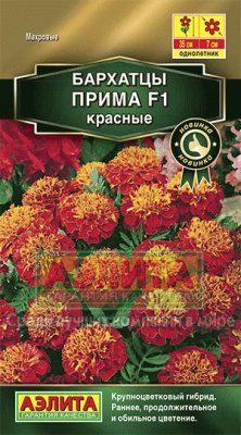 цБархатцы Прима красные откл.10шт