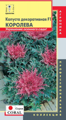 цКапуста декор. Королева