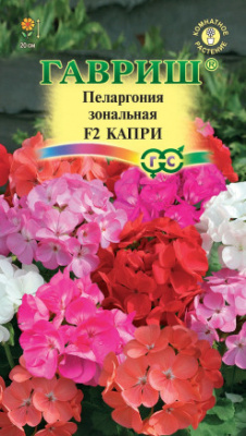 Пеларгония Капри 4шт