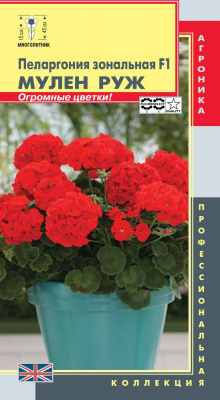 цПеларгония Мулен Руж 3шт