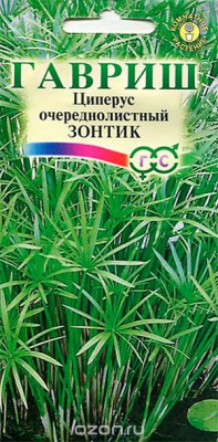 цЦиперус Зонтик (очереднолистный) 0,05г