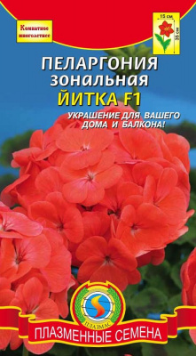 цПеларгония Йитка 3шт