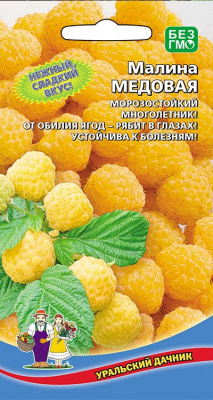 Малина Медовая 10шт