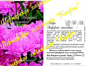 цАстра Эйфория лососевая (20пак*0,5г)