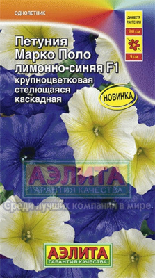 Петуния Марко Поло лимонно-синяя 7шт